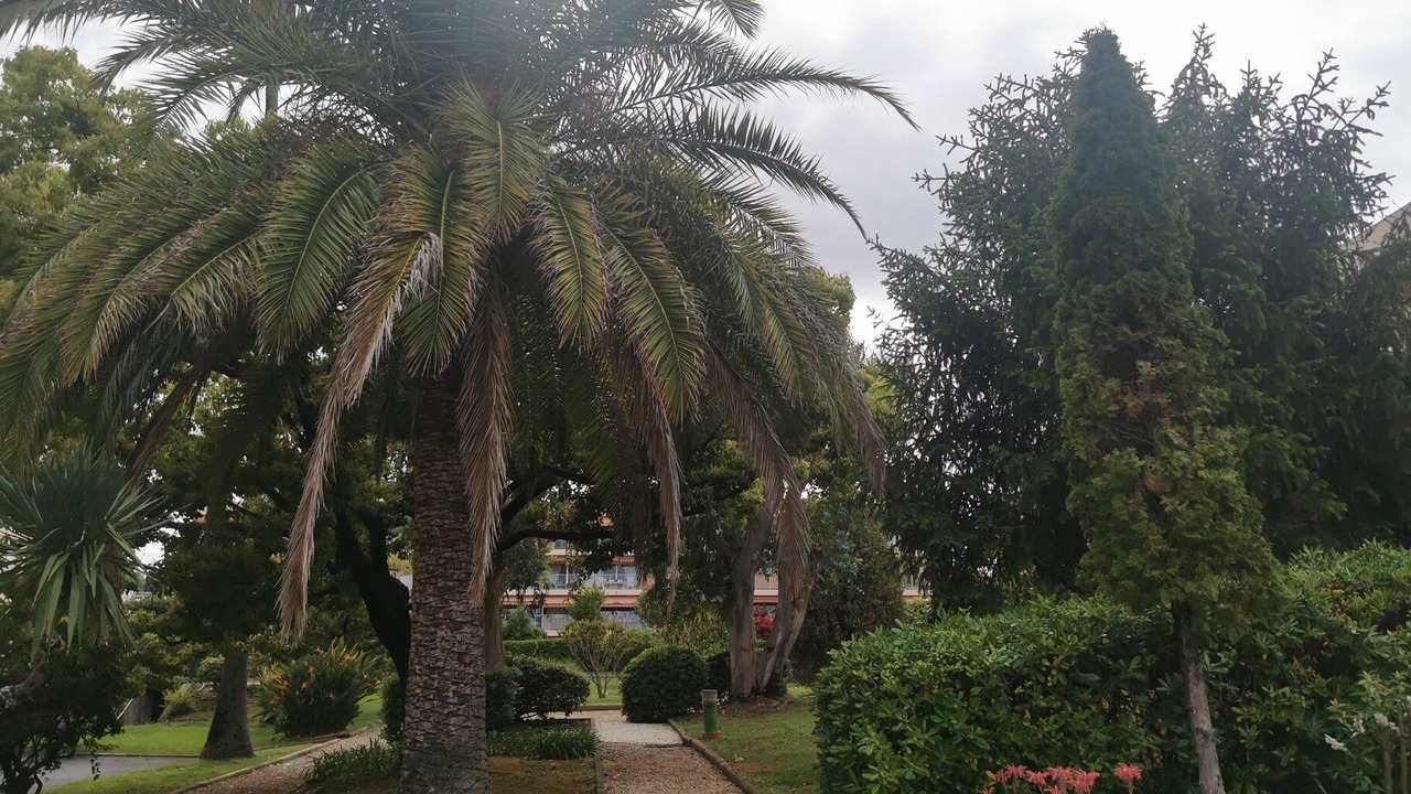 Photo of Outdoor in Plaine de la Brague