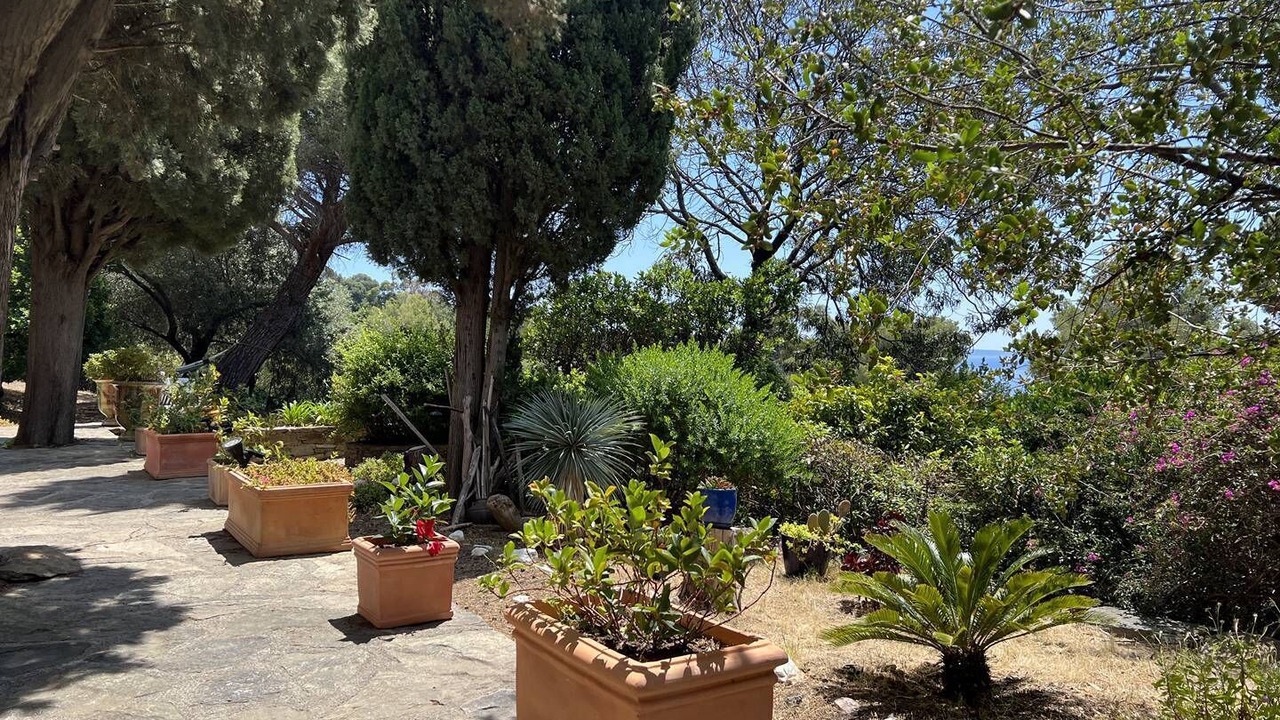 Photo of Others in Rayol-Canadel-sur-Mer