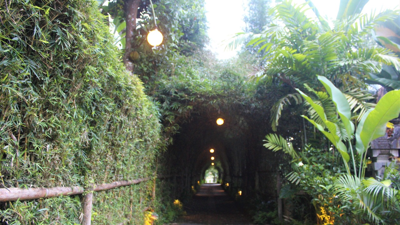 Photo of Bedroom in Sebatu