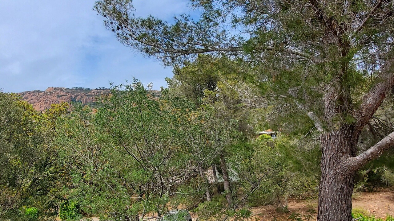 Photo of Outdoor in Agay