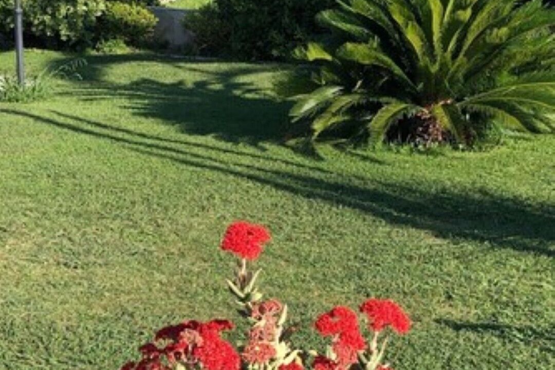 Photo of Outdoor in Saint Pierre de Feric
