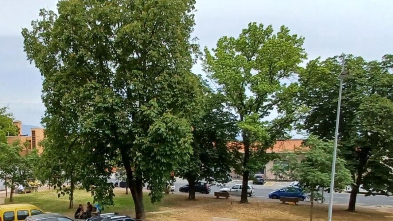 Photo of Outdoor in Viareggio