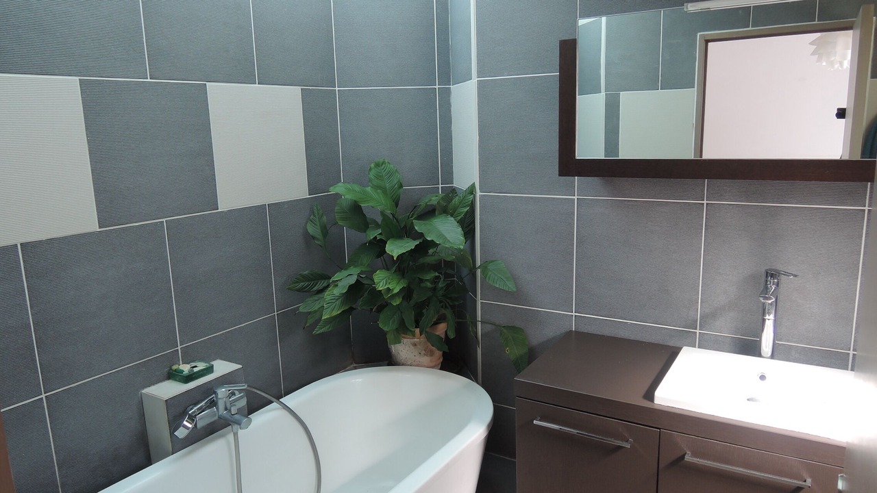 Photo of Bathroom in Biot
