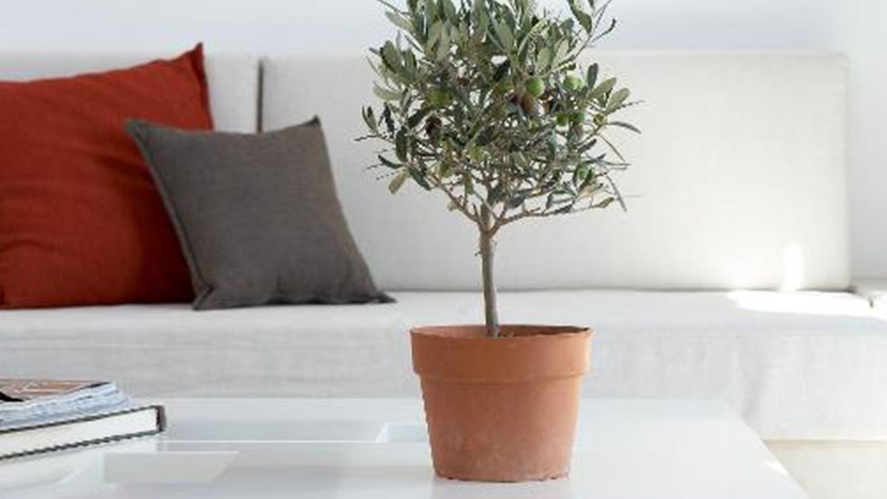 Photo of Livingroom in Pyrgos