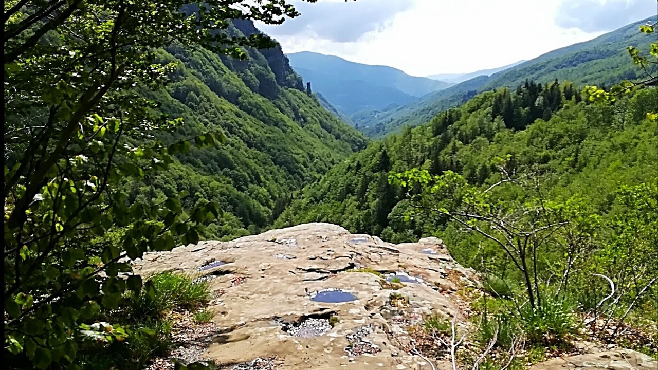 Photo of Others in Pian di Novello