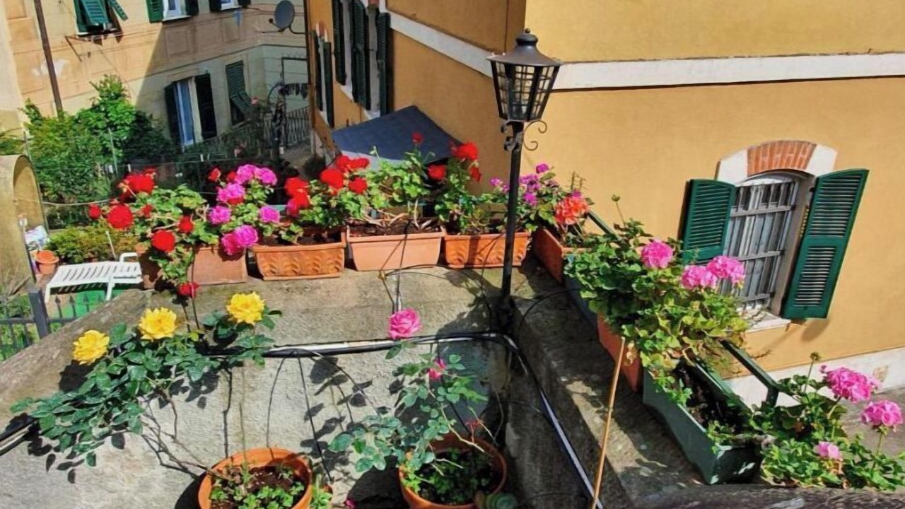 Photo of Outdoor in Camogli