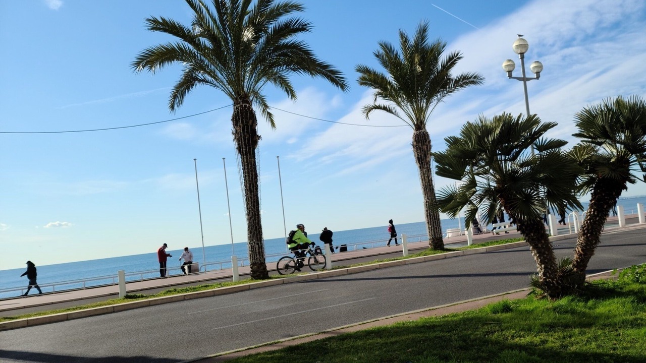 Photo of Others in Gambetta
