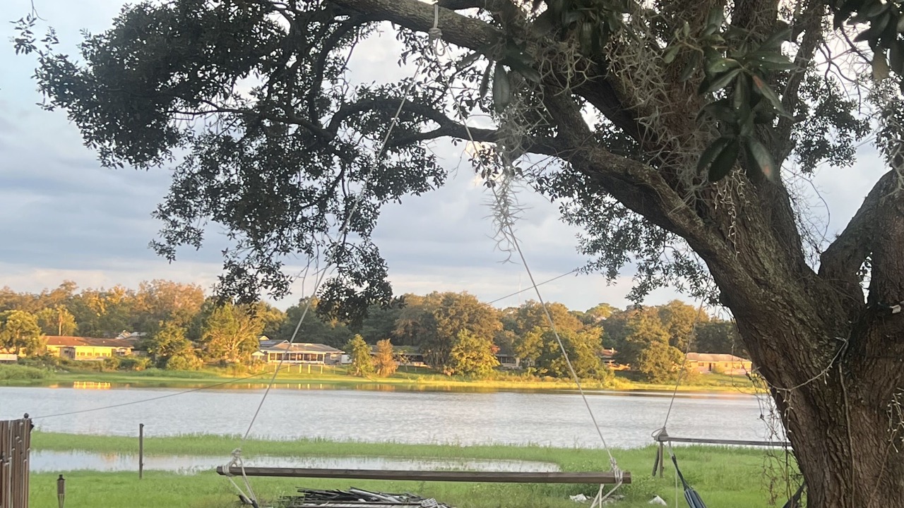 Photo of Outdoor in Pine Hills