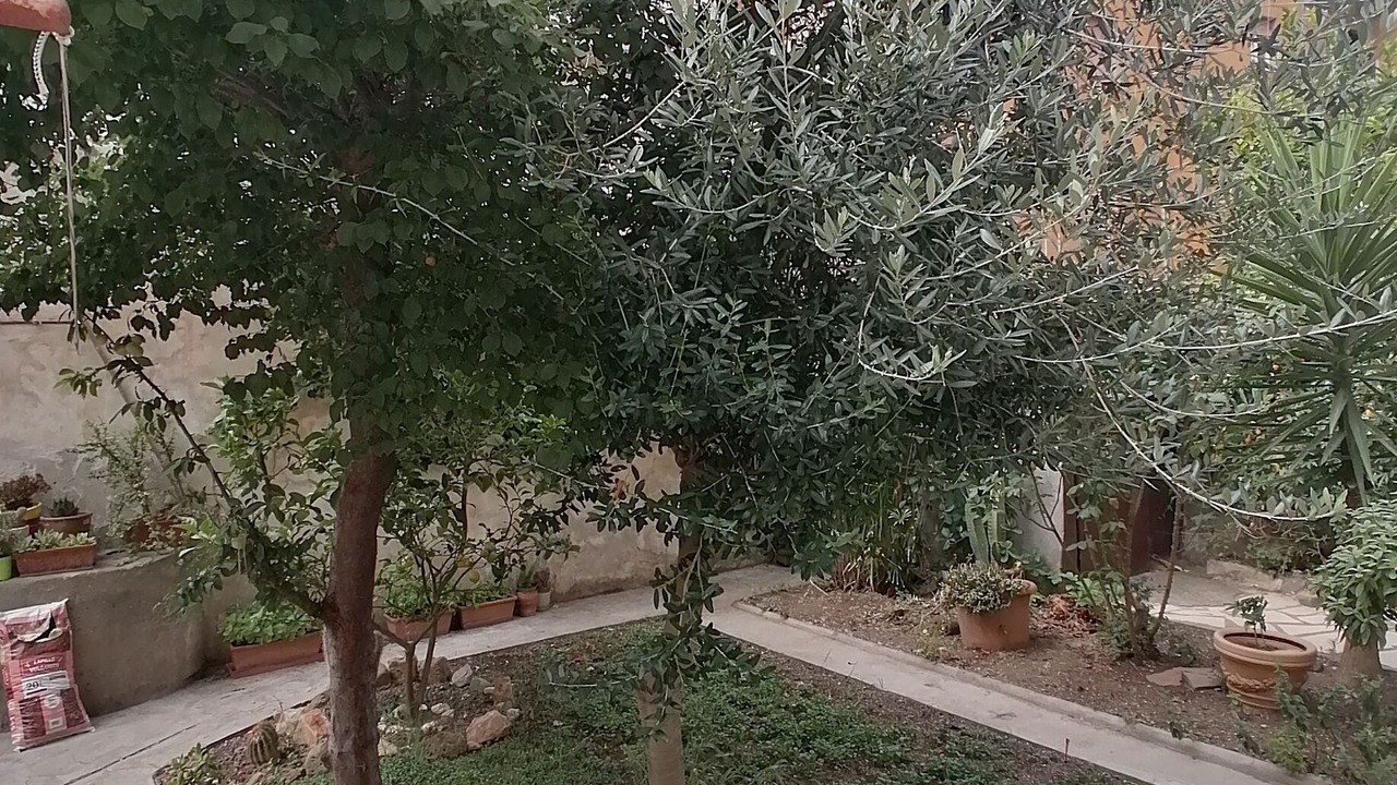 Photo of Outdoor in Piombino