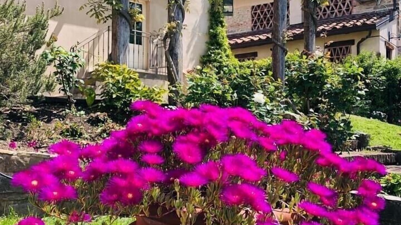 Photo of Outdoor in Fivizzano