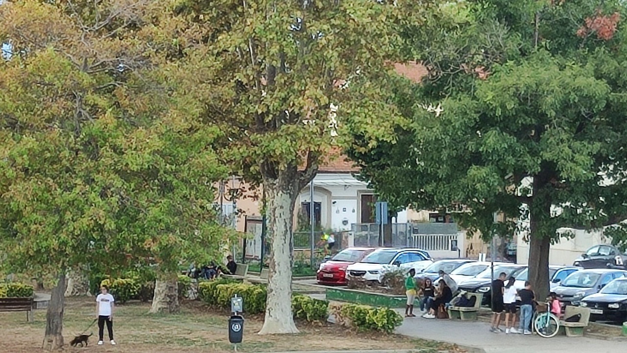 Photo of Others in Torre del Lago Puccini