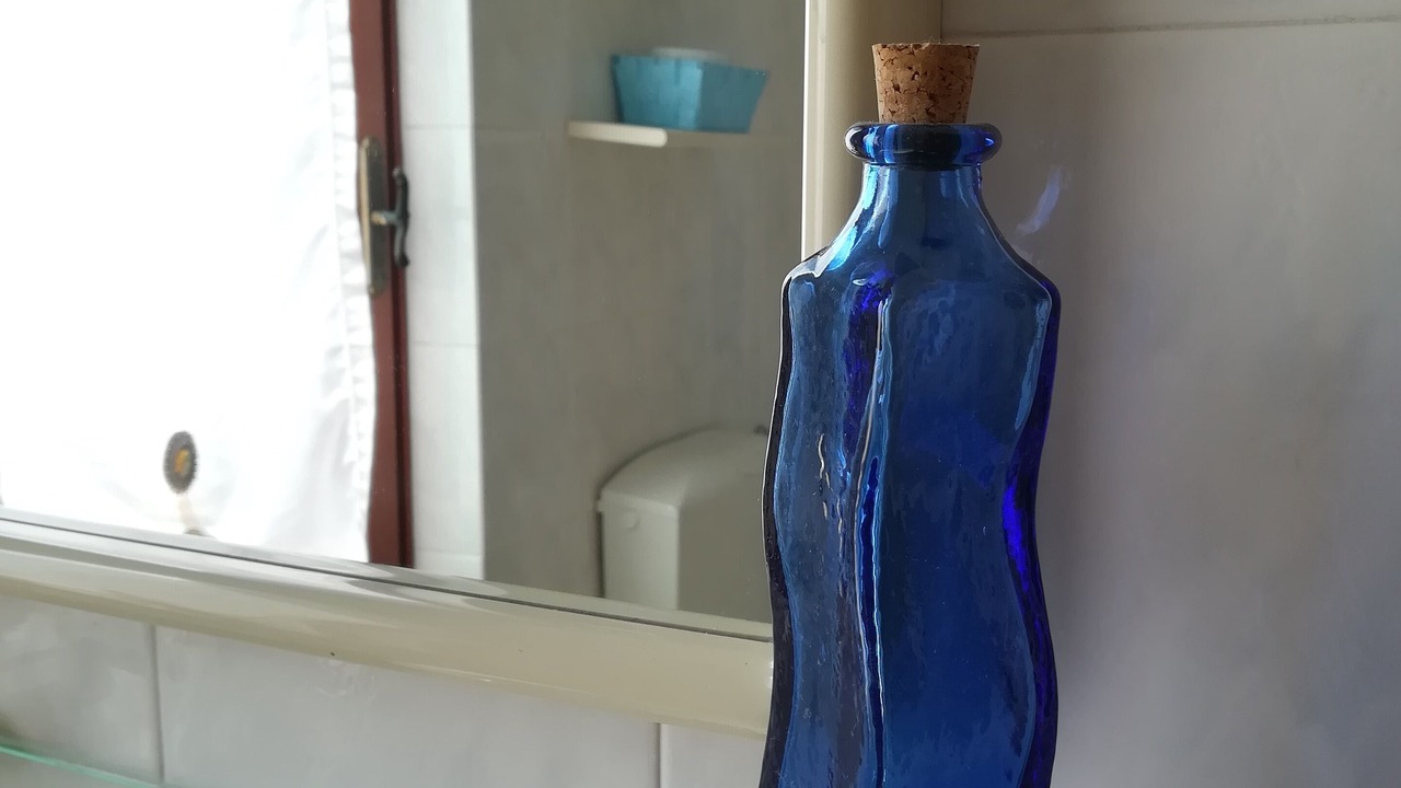 Photo of Bathroom in Torre del Lago Puccini