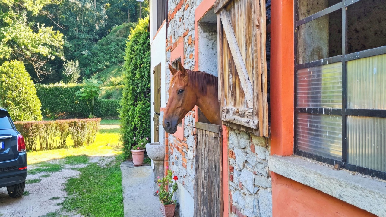 Photo of Outdoor in Brebbia