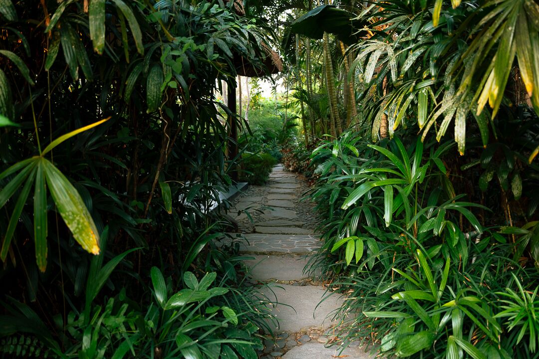 Photo of Outdoor in Seseh