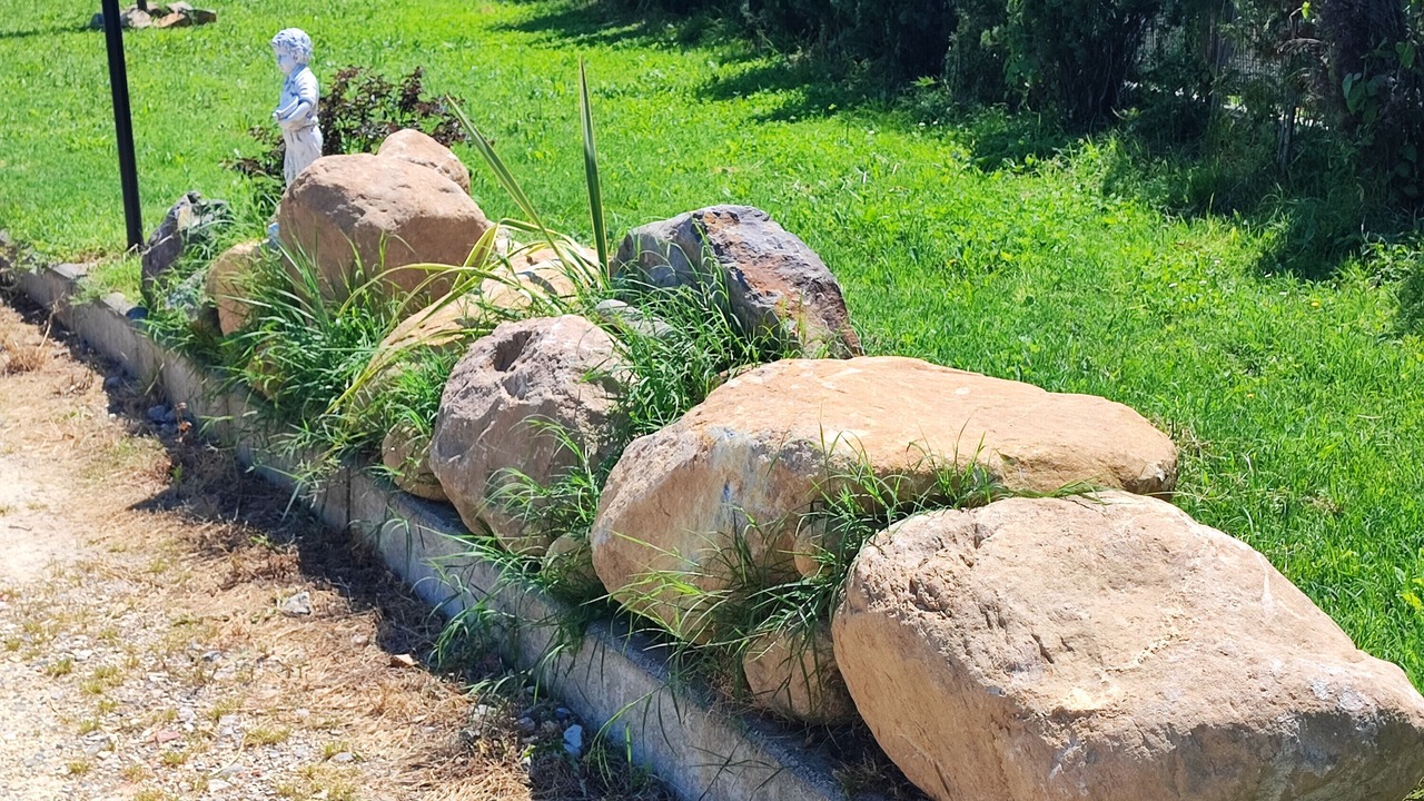 Photo of Outdoor in SantʼAndrea di Compito