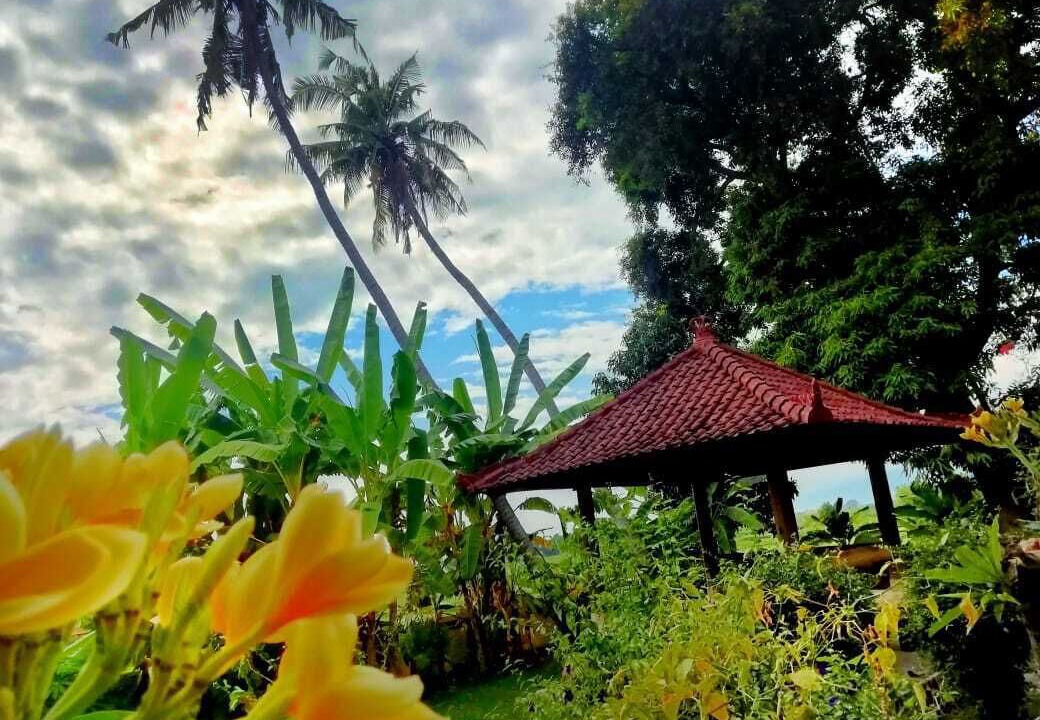 Photo of Outdoor in Umeanyar