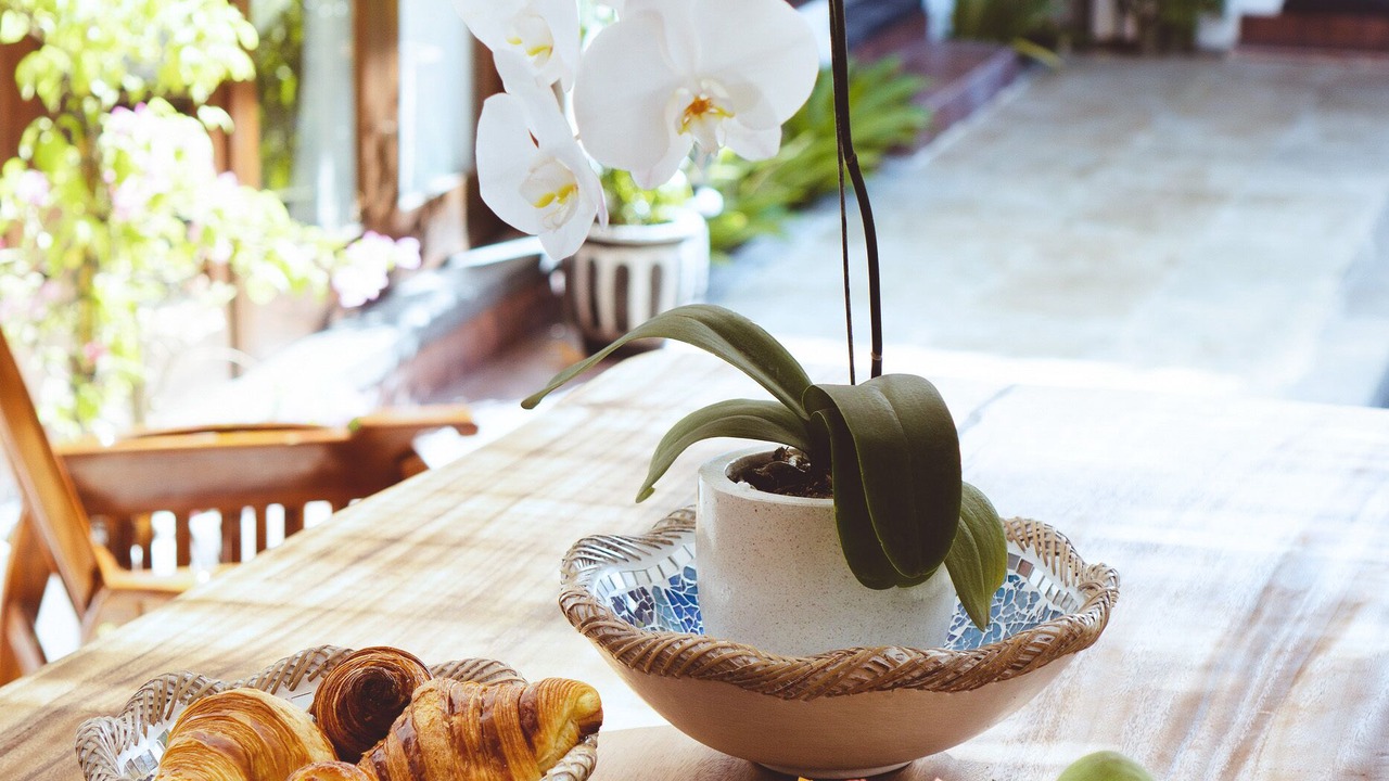 Photo of Others in Sanur Kauh