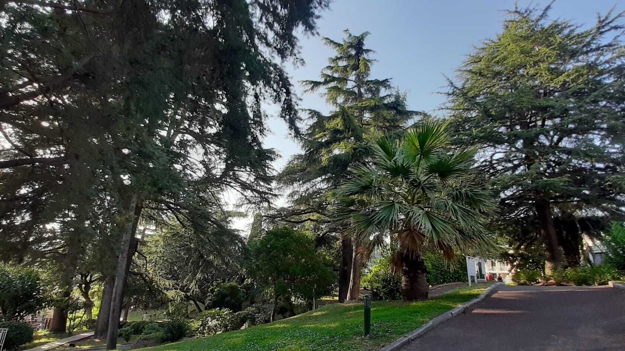 Photo of Outdoor in La Croix des Gardes