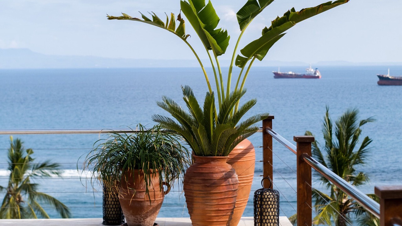 Photo of Outdoor in Manggis