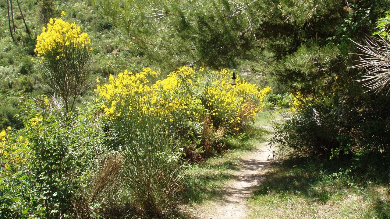 Photo of Outdoor in Contes