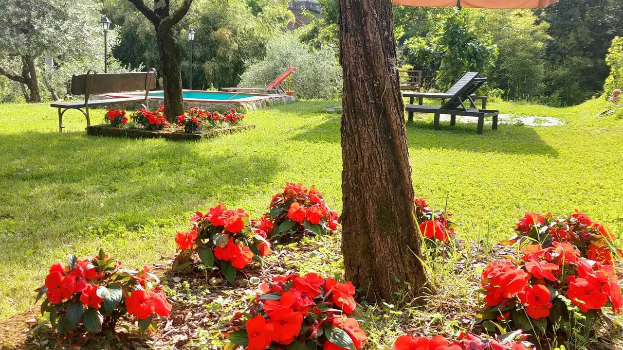 Photo of Outdoor in Montignoso