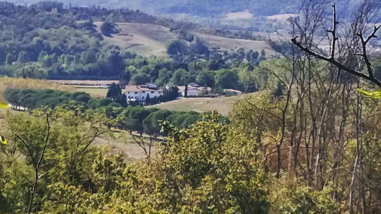 Photo of Outdoor in Reggello