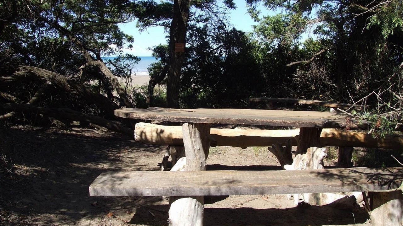 Photo of Outdoor in Marina di Castagneto Carducci