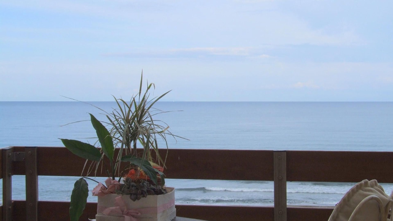 Photo of Outdoor in Marina di Castagneto Carducci