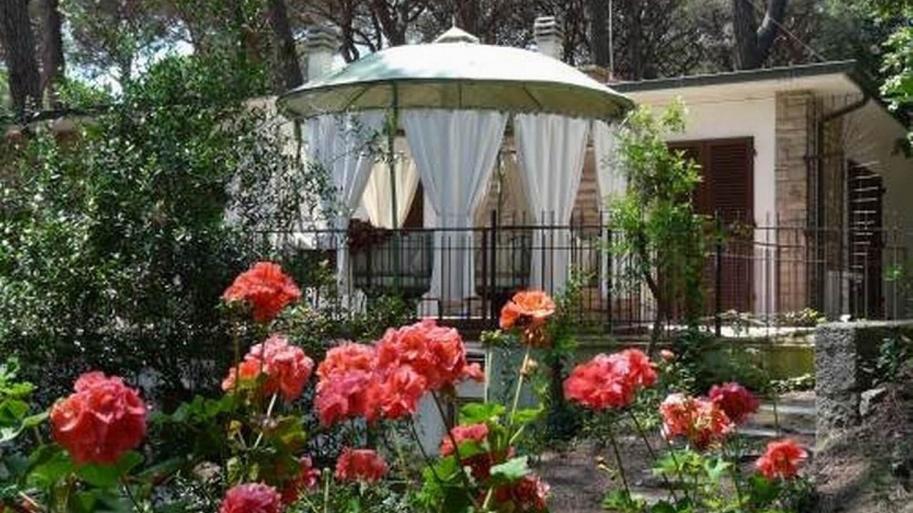 Photo of Outdoor in Marina di Castagneto Carducci