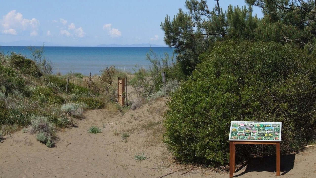 Photo of Others in Marina di Castagneto Carducci