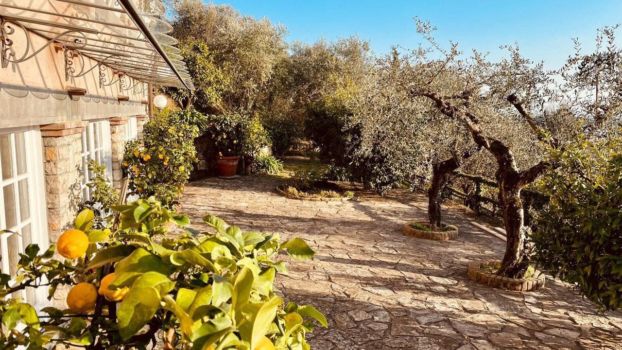 Photo of Outdoor in Corsanico-Bargecchia