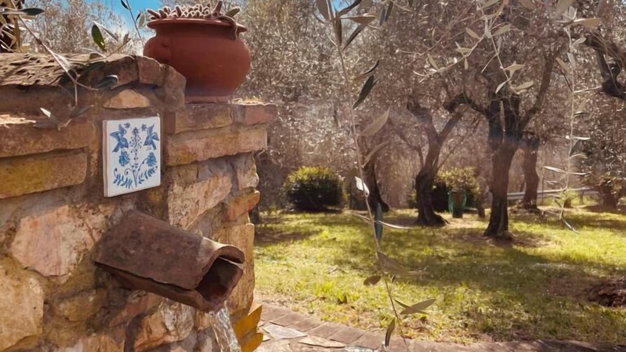 Photo of Outdoor in Corsanico-Bargecchia