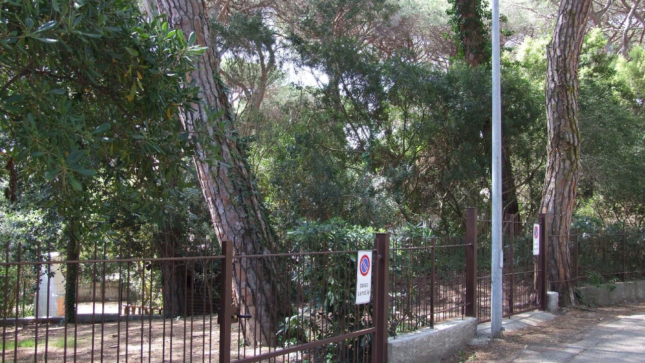 Photo of Outdoor in Marina di Castagneto Carducci