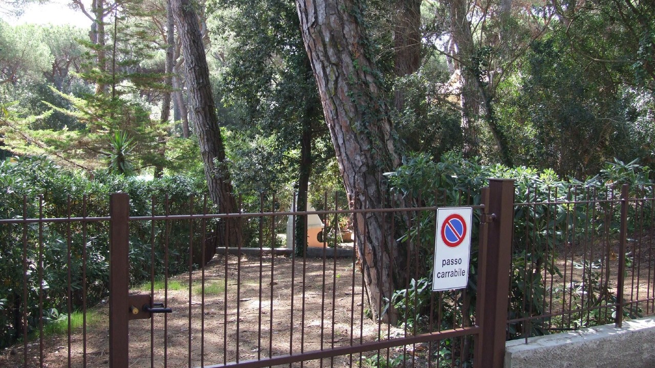 Photo of Outdoor in Marina di Castagneto Carducci