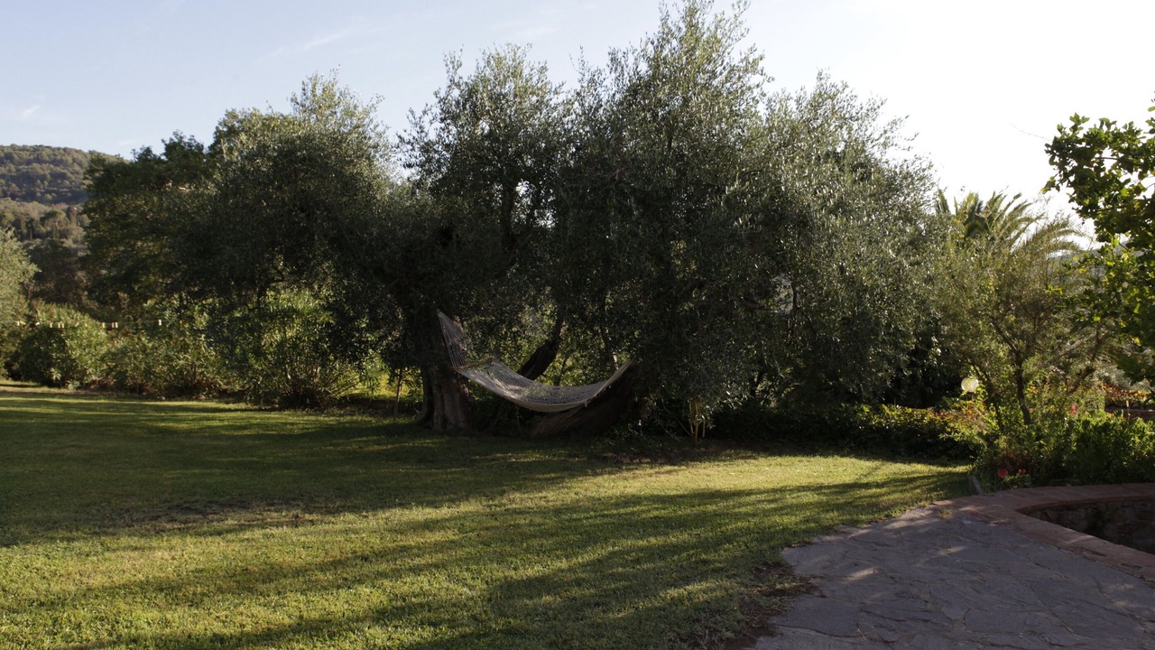 Photo of Outdoor in Campiglia Marittima