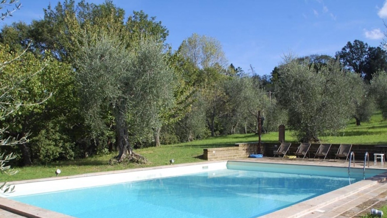 Photo of Outdoor in Palaia