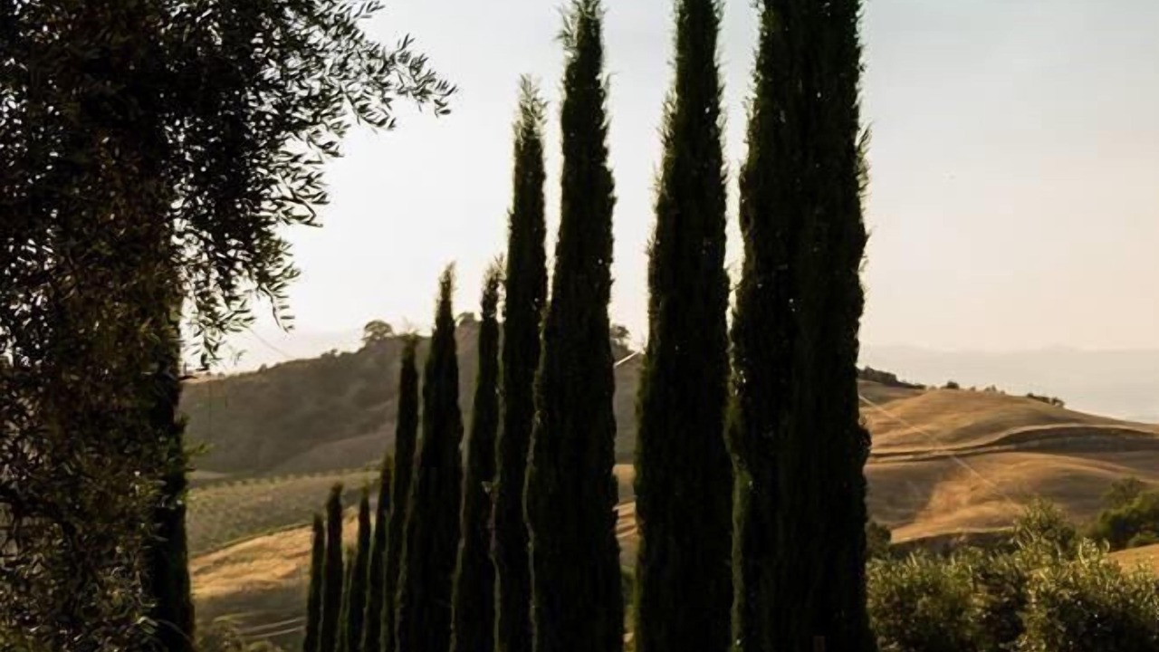 Photo of Outdoor in Cinigiano