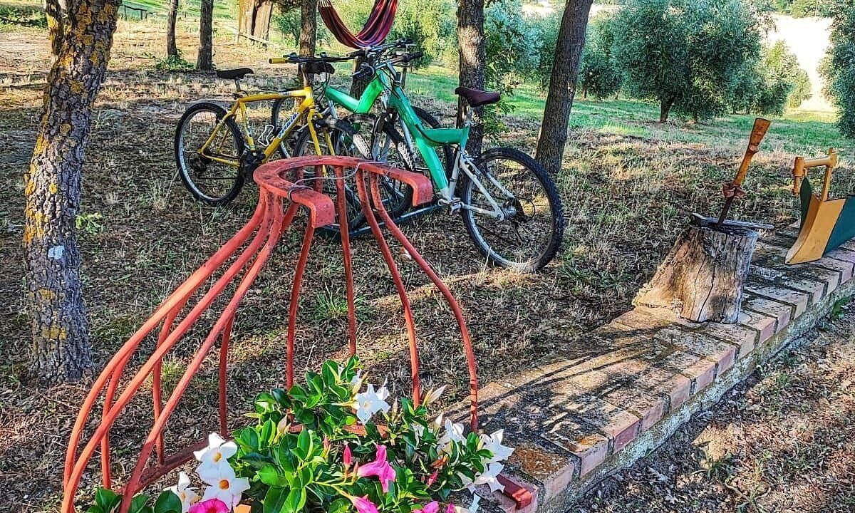Photo of Outdoor in Cinigiano