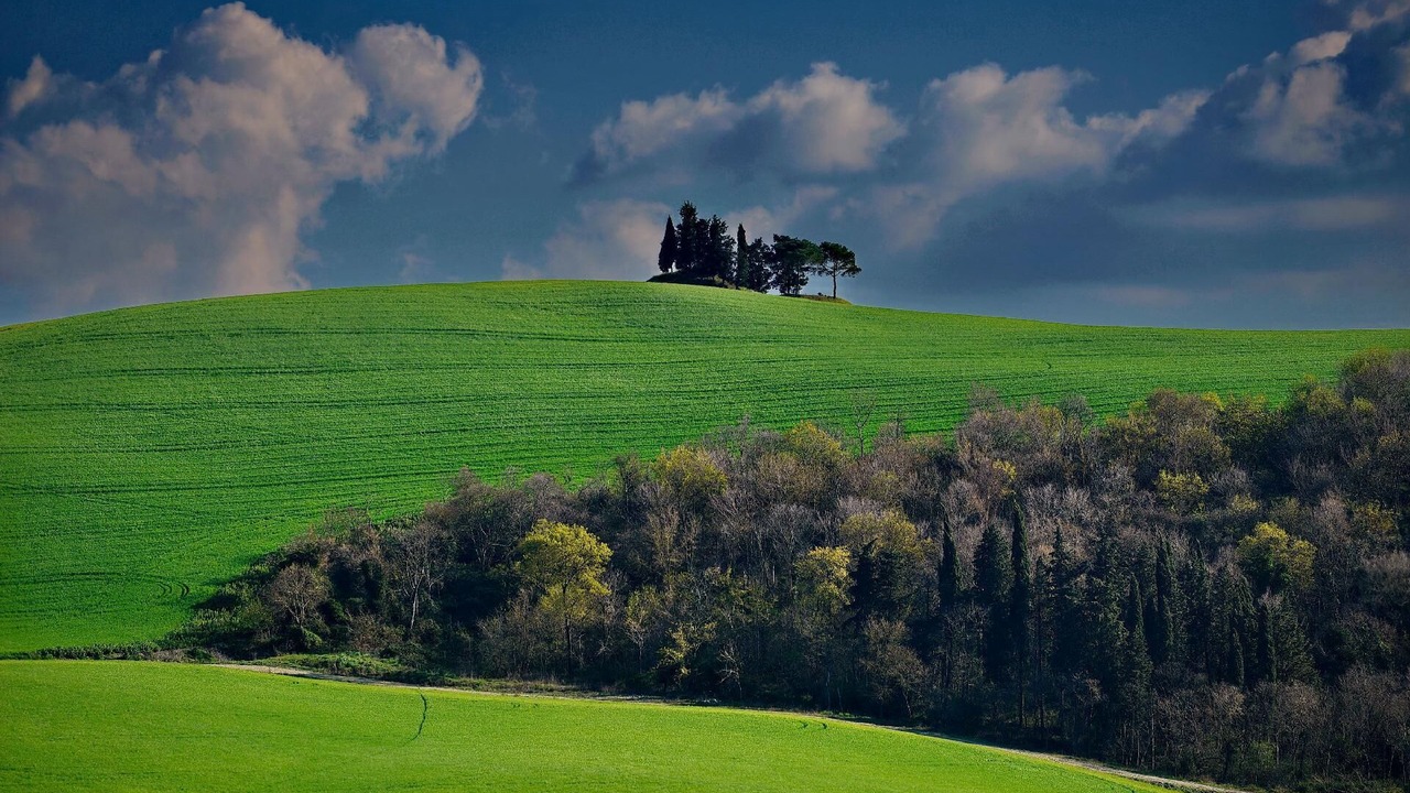 Photo of Outdoor in Cinquale