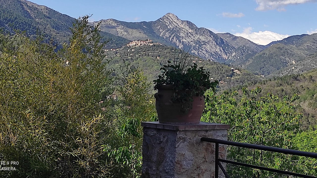 Photo of Outdoor in Bendejun