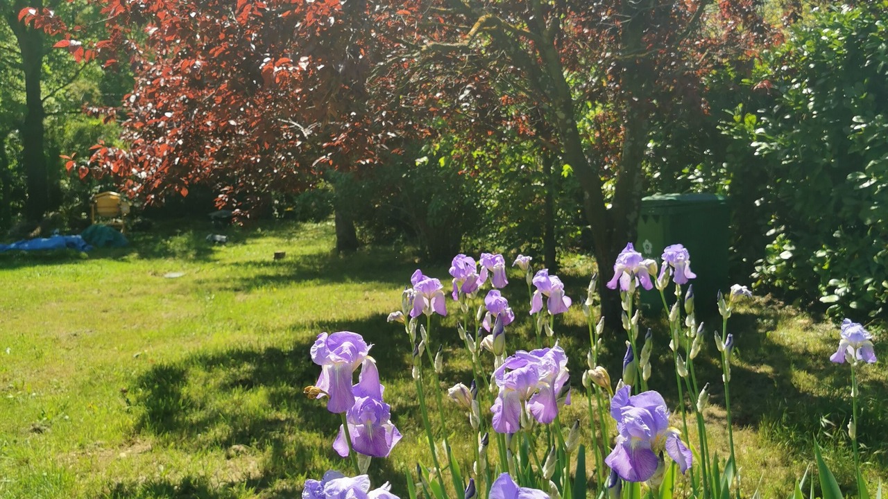 Photo of Outdoor in Chateauneuf-Grasse