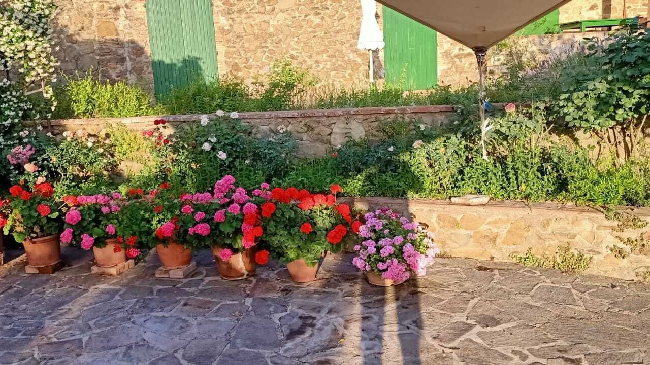Photo of Outdoor in Campiglia Marittima