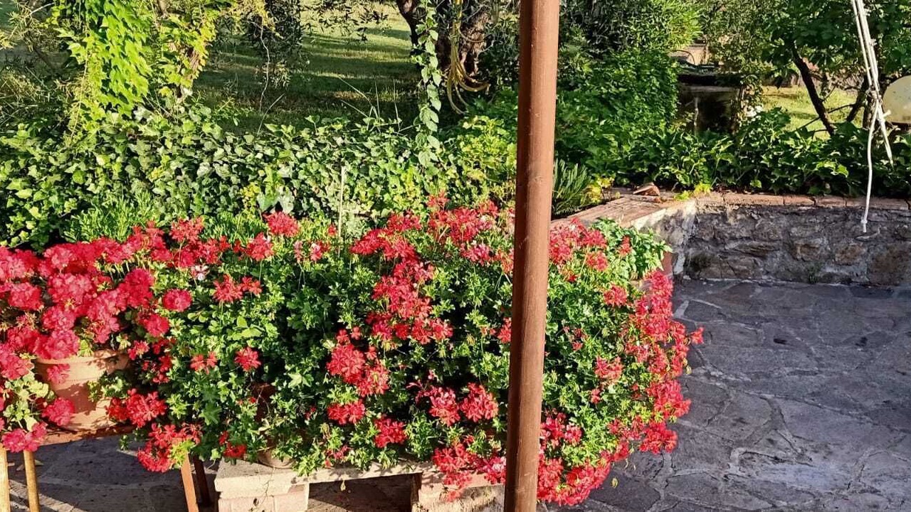 Photo of Outdoor in Campiglia Marittima