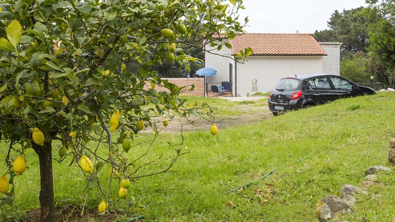 Photo of Outdoor in Sant' Andrea