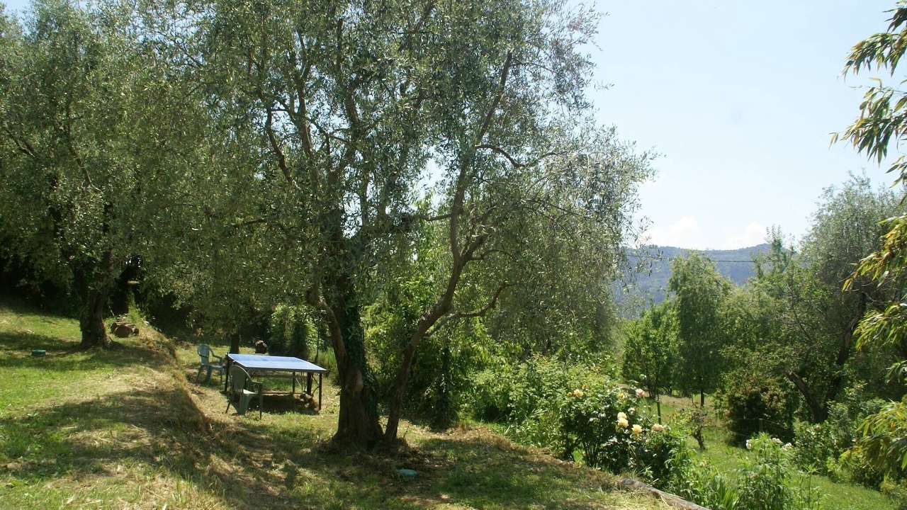 Photo of Outdoor in Berre-des-Alpes