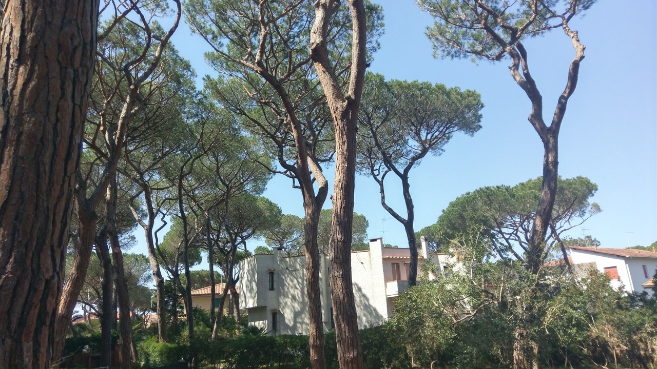 Photo of Outdoor in Marina di Castagneto Carducci
