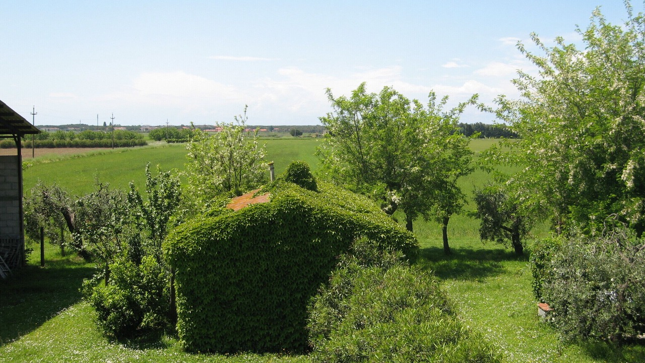 Photo of Outdoor in Vada