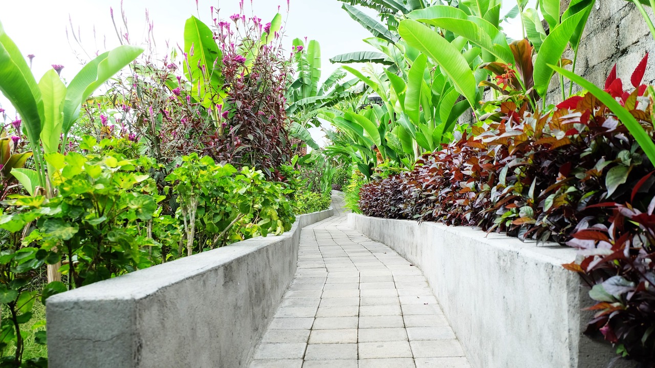 Photo of Outdoor in Ubud
