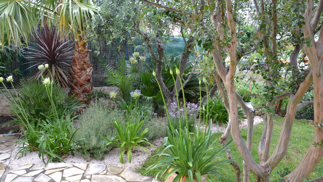 Photo of Outdoor in Les Issambres