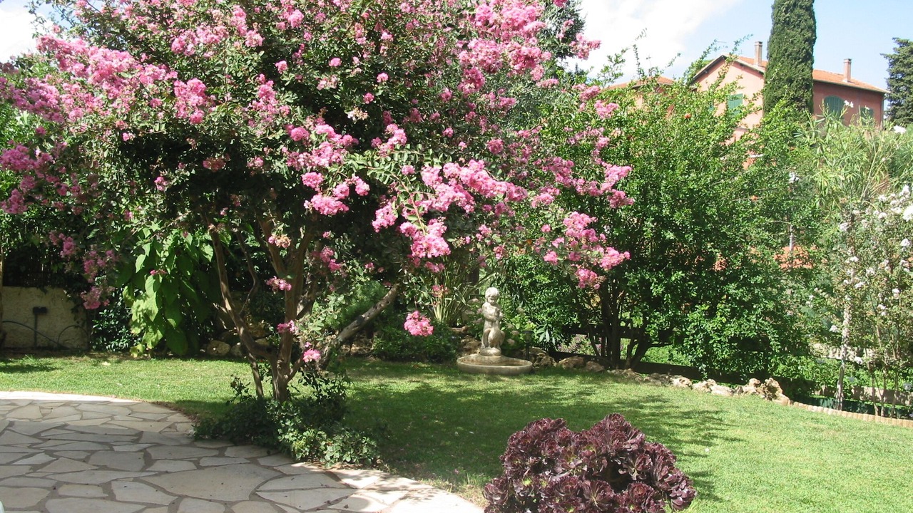 Photo of Outdoor in Les Issambres